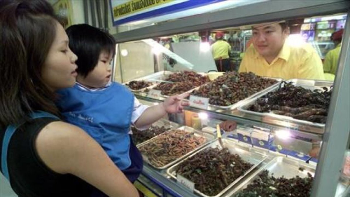 Un puesto de insectos en un mercado de Bangkok, en Tailandia.