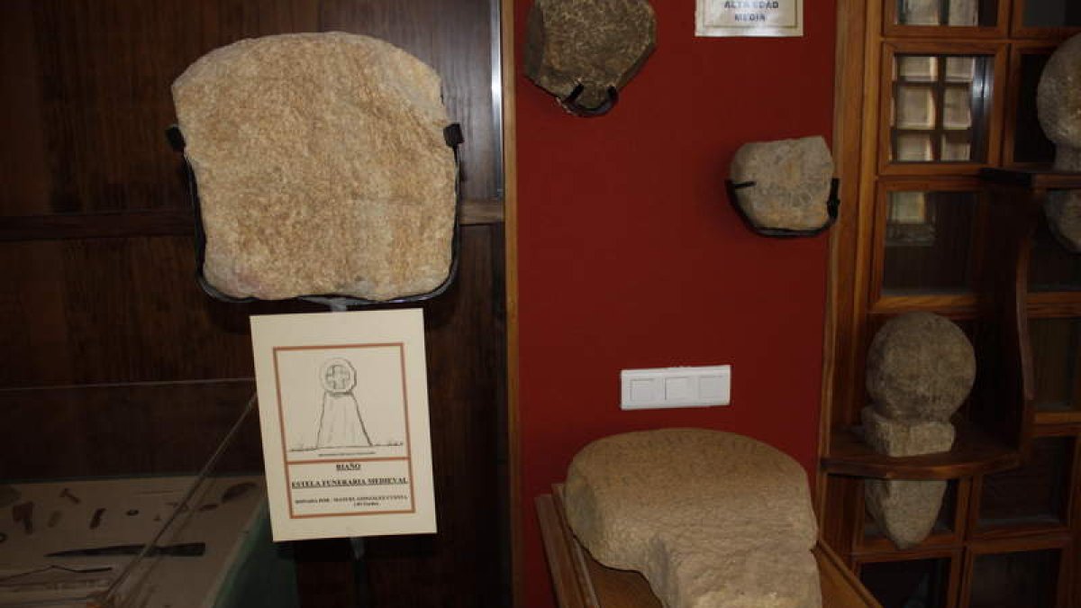 La muestra acoge 65 piezas de las que 50 fueron localizadas en León, el resto en Asturias. CAMPOS