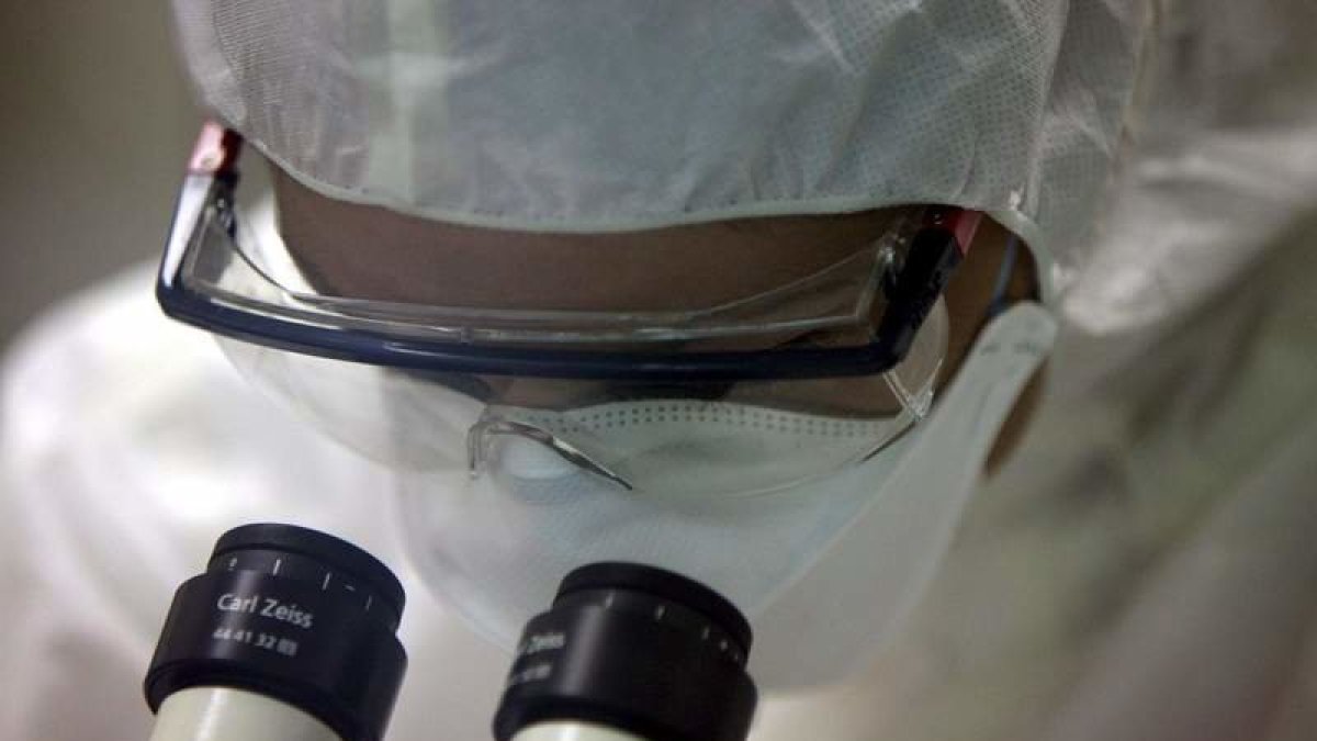 DI24P4F1-22-20-15-9.jpg