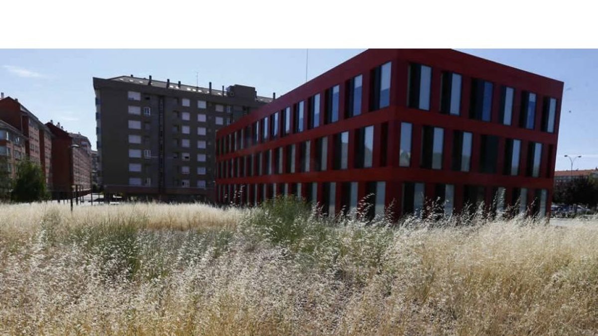El Ayuntamiento ya ha iniciado un plan para el desbroce y recogida en los solares municipales.