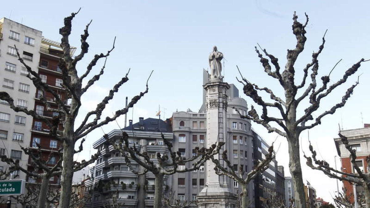 Vista de la plaza de la Inmaculada, con sus árboles aguardando la primavera.