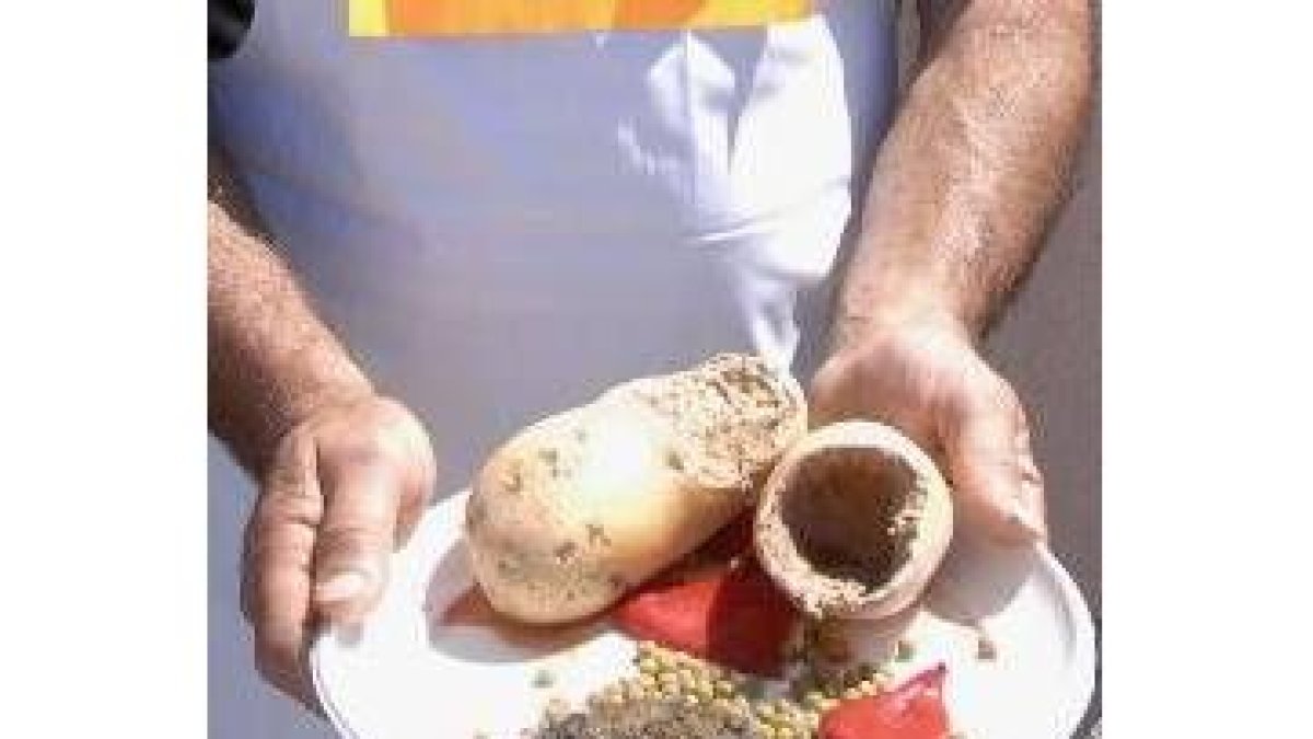 Un agricultor muestra los estragos de los topillos