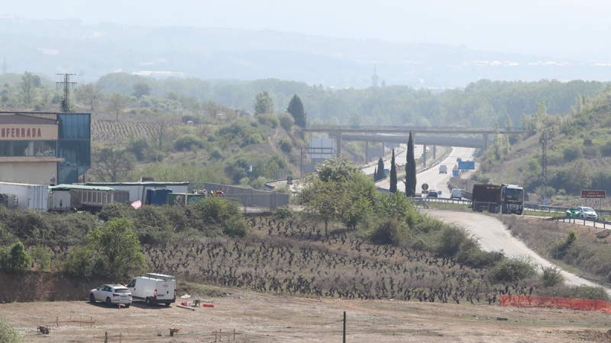 El nuevo área de servicio se levantará en una parce la de 15.000 metros cuadrados. L. D. M.