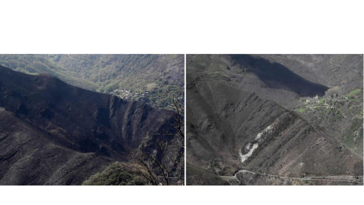 Arriba a la izquierda, ladera quemada, con el pueblo de Peñalba al fondo, el 20 de abril de 2017. Derecha, el mismo lugar, regenerado, el 20 de abril de este año. ANA BARREDO