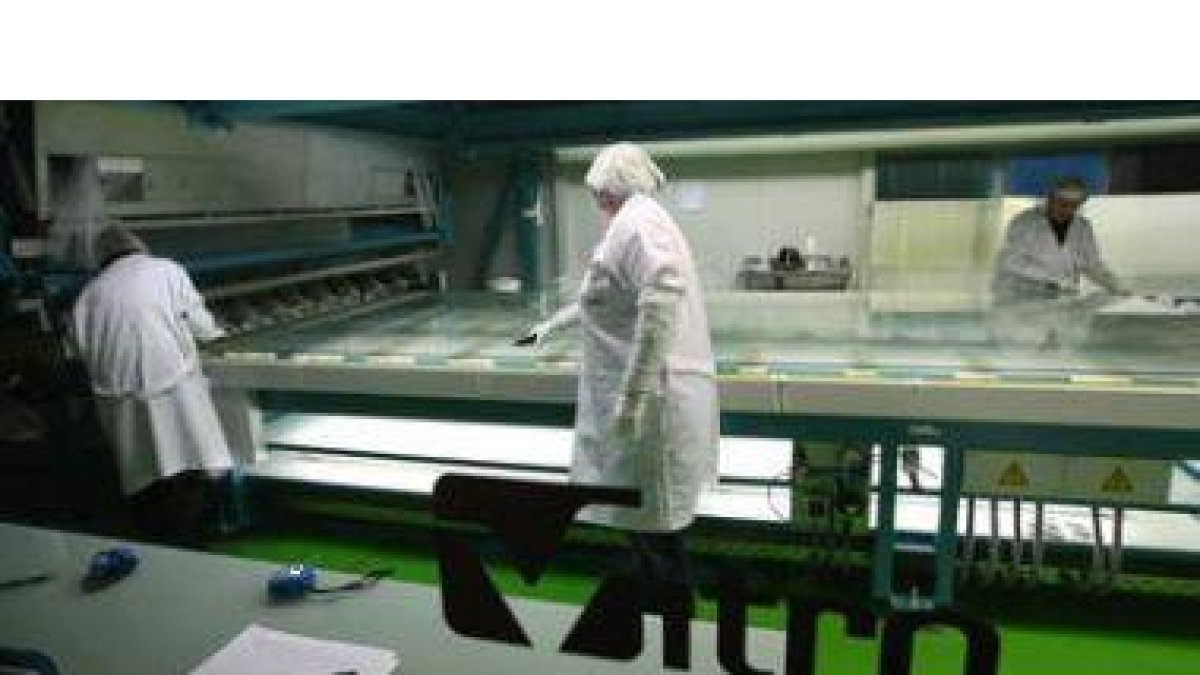 Un grupo de operarios de Vitro en la factoría de La Rozada (Toral) durante el proceso de transformac