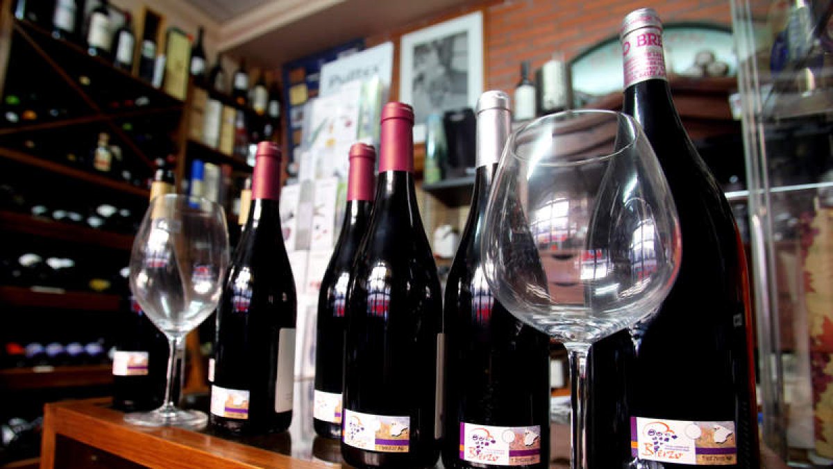 Los vinos del Bierzo se han alzando con once galardones del concurso celebrado en Madrid. A. F. B.