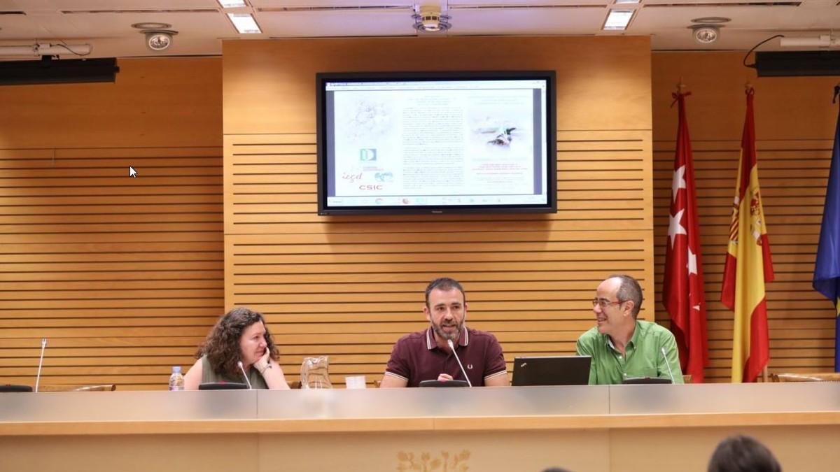 Nacho Murgui (centro), delegado de Coordinación Territorial y Cooperación Público-Social, en un acto en el ayuntamiento.