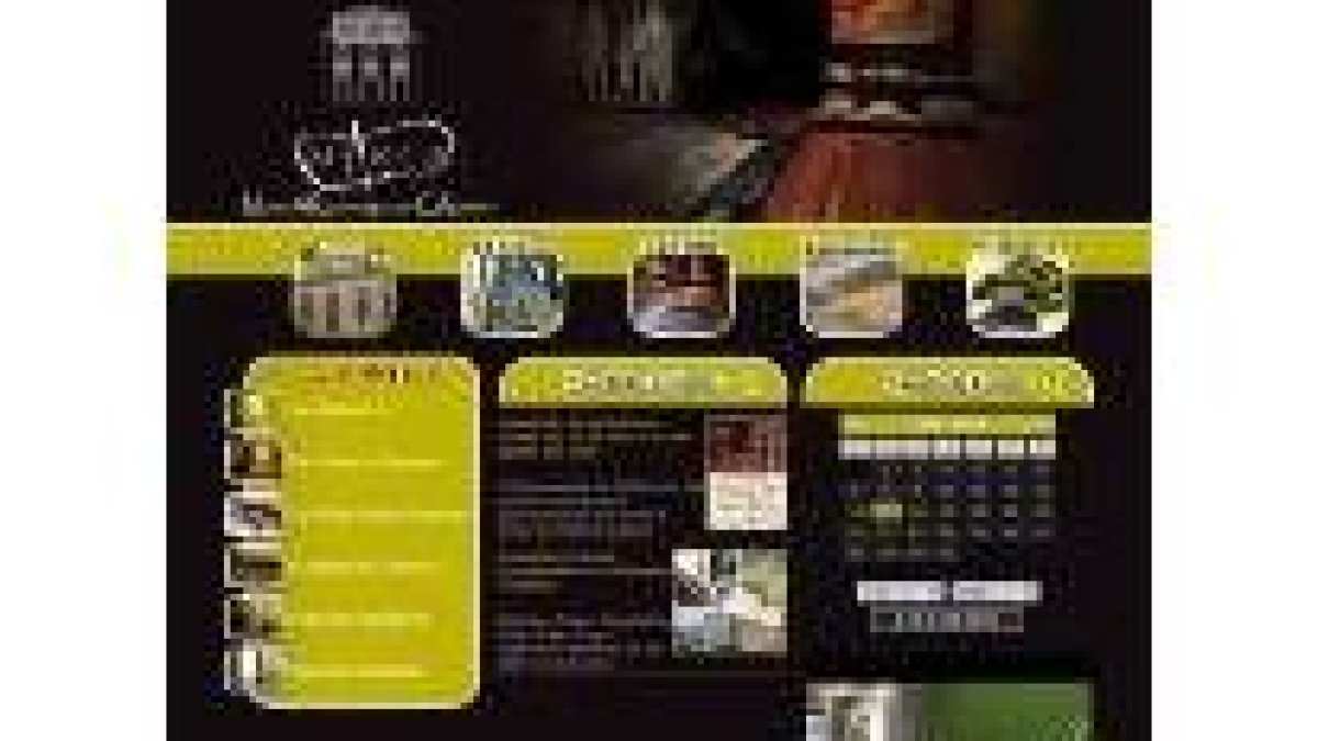 La nueva web del museo pretende facilitar el acceso a la muestra