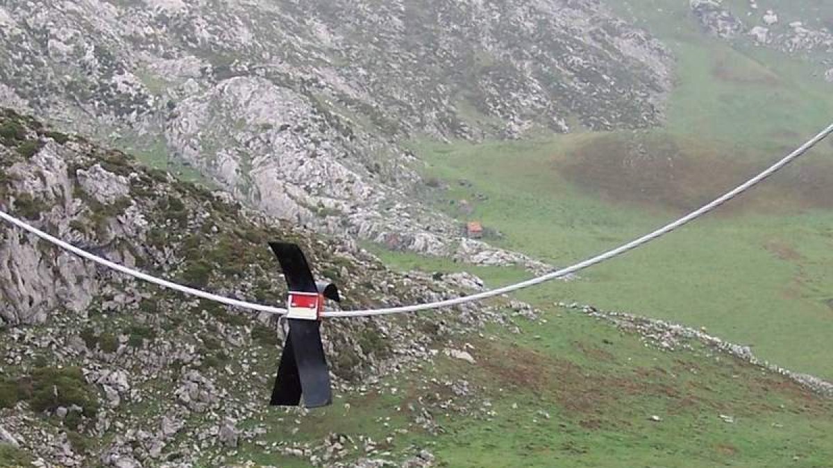 Las balizas, más conocidas como ‘salvapáros’ evitan que las aves choquen con el tendido eléctrico. DL