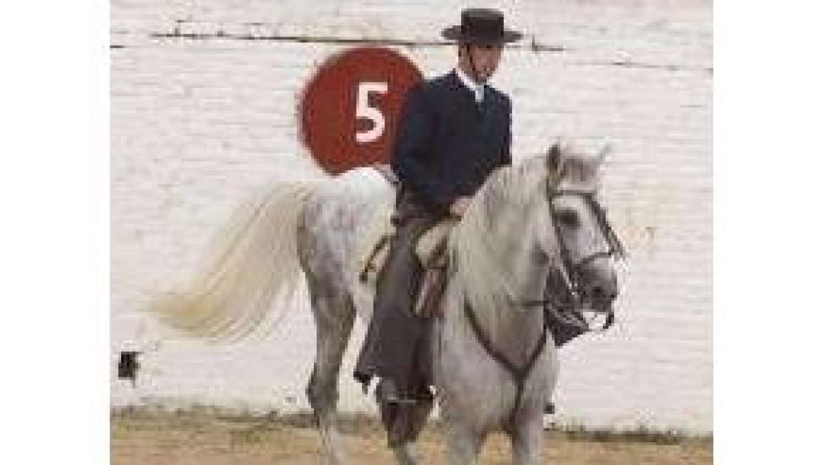 Caballo y jinete, en una pirueta de saludo