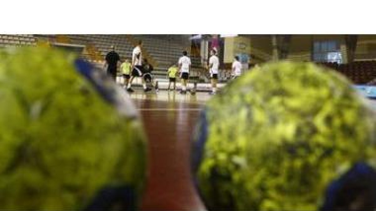 El equipo del Reale Ademar durante un entrenamiento de la pasada temporada.