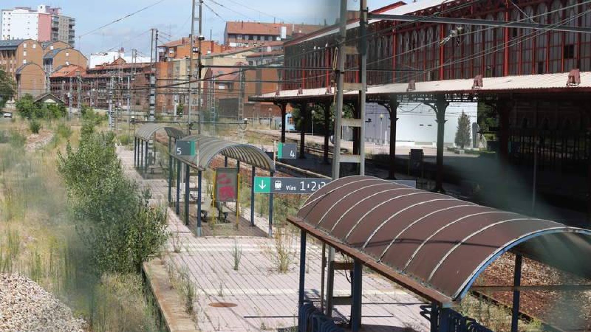 La maleza invade parte de los abandonados andenes.