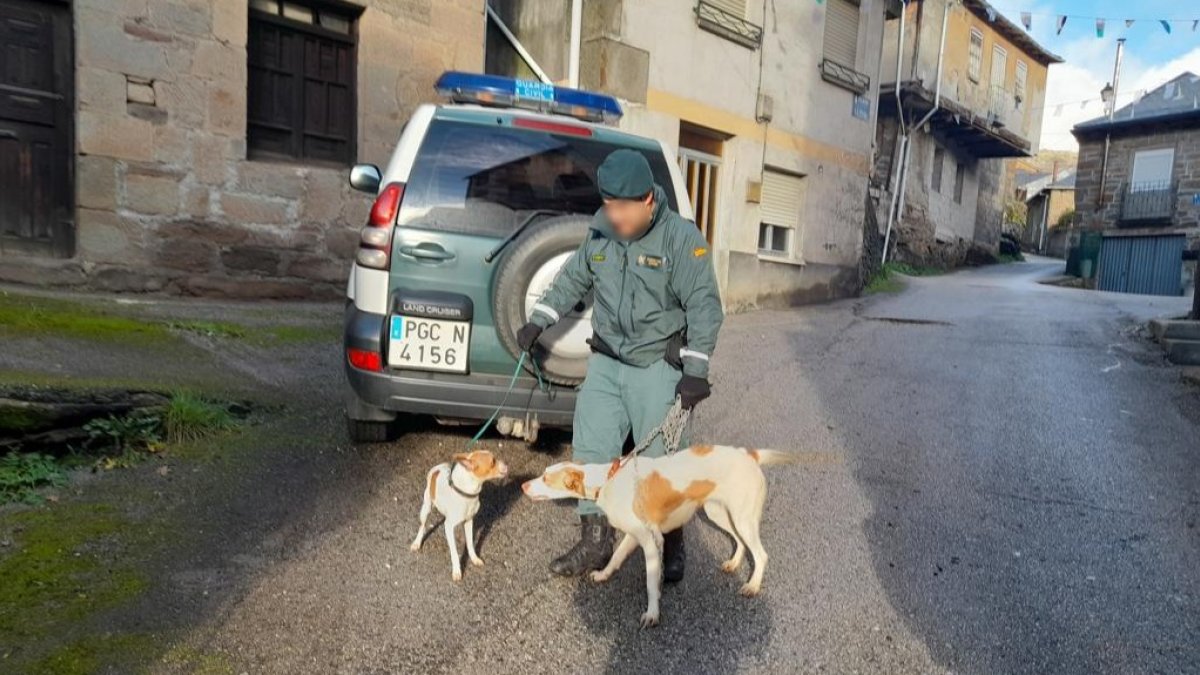 Uno de los agentes con los dos perros abandonados. DL