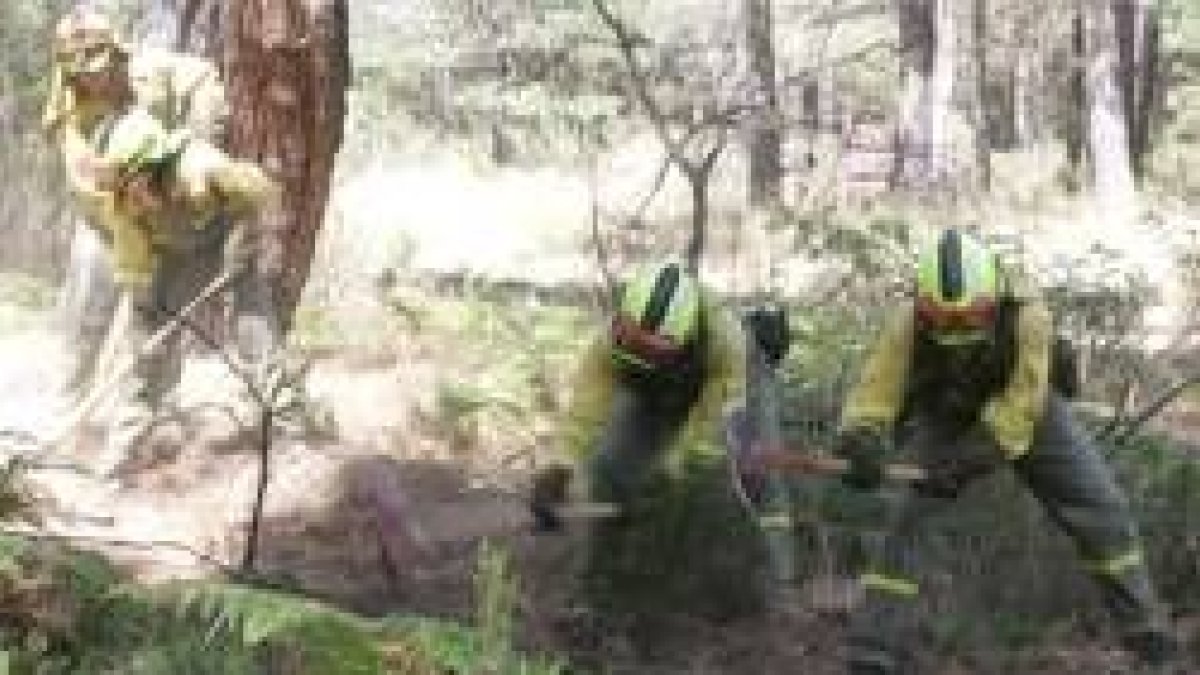 Trabajadores de la Brif, durante un entrenamiento