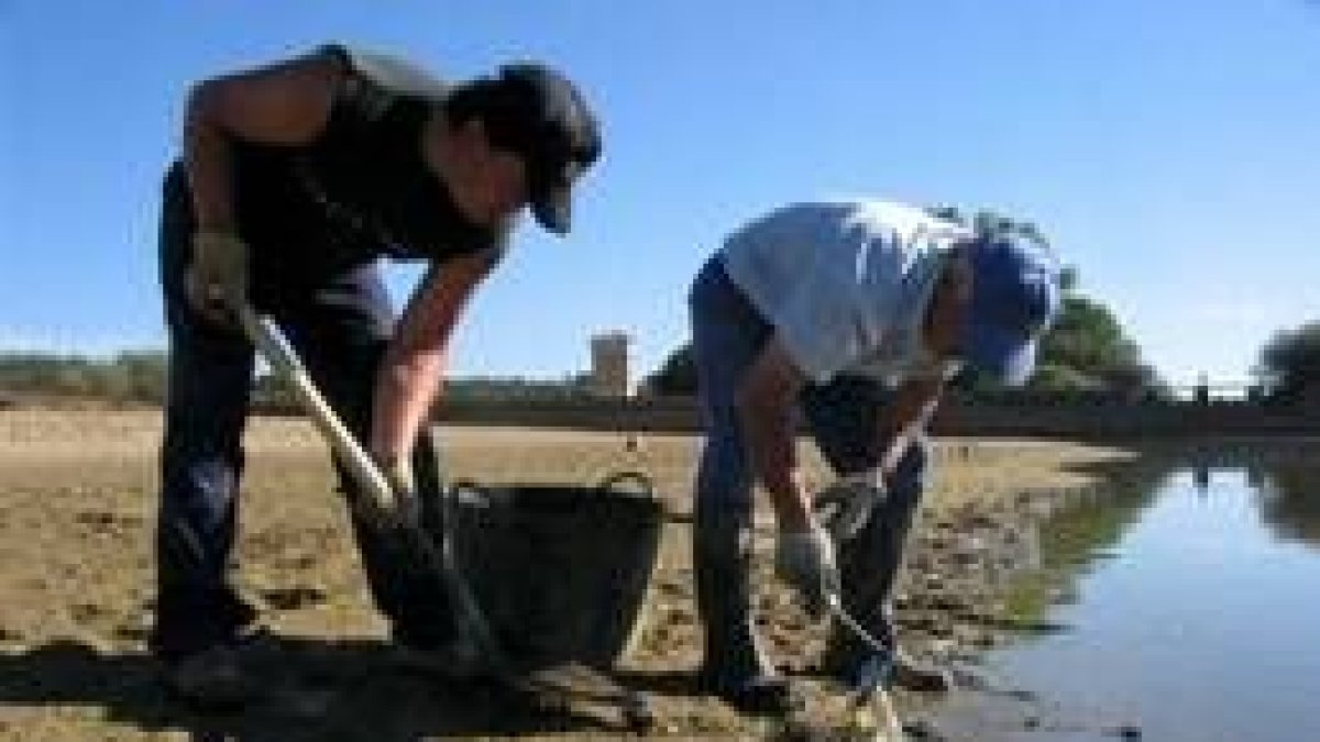 Los voluntarios junto con personal del Ayuntamiento recogieron los peces muertos del pantano