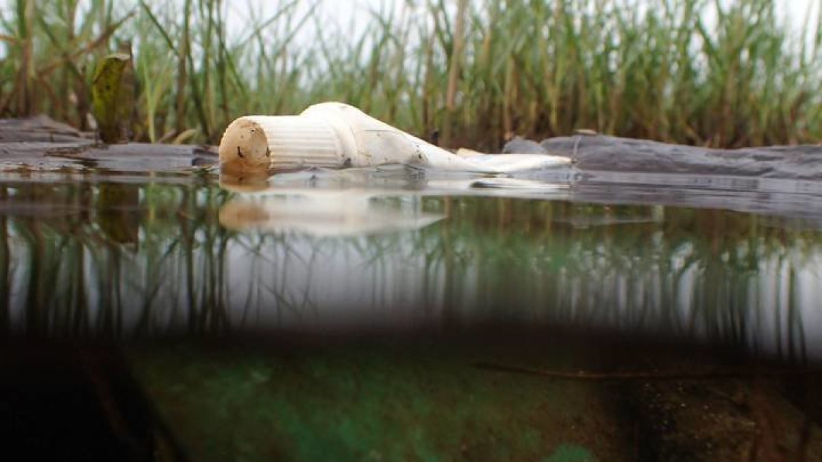 Imagen de un río en Costa Rica. JEFFREY ARGUEDAS