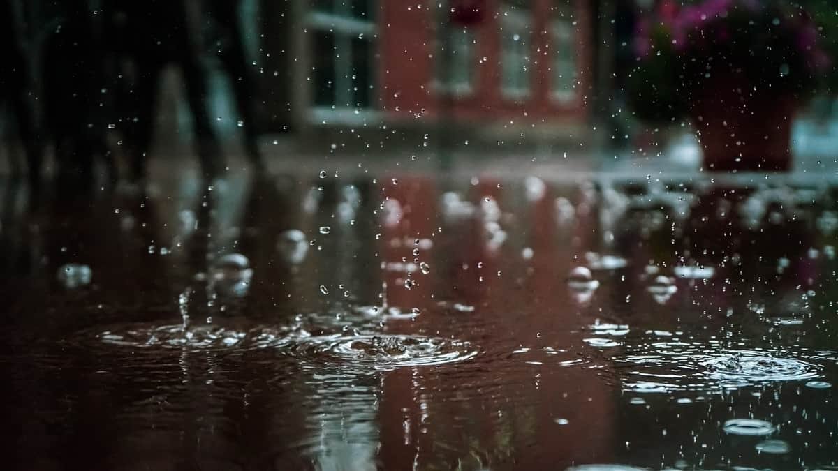 El tiempo en Santas Martas AEMET Foto: Pexels