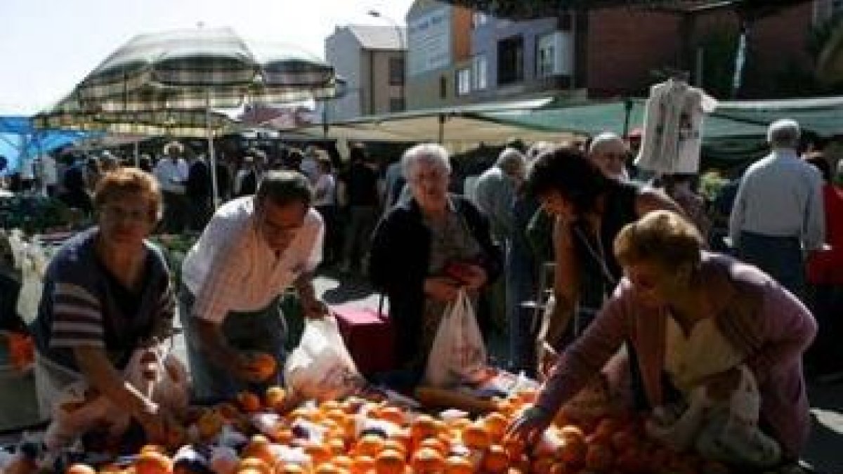 Cientos de personas compran en el mercadillo de Trobajo.