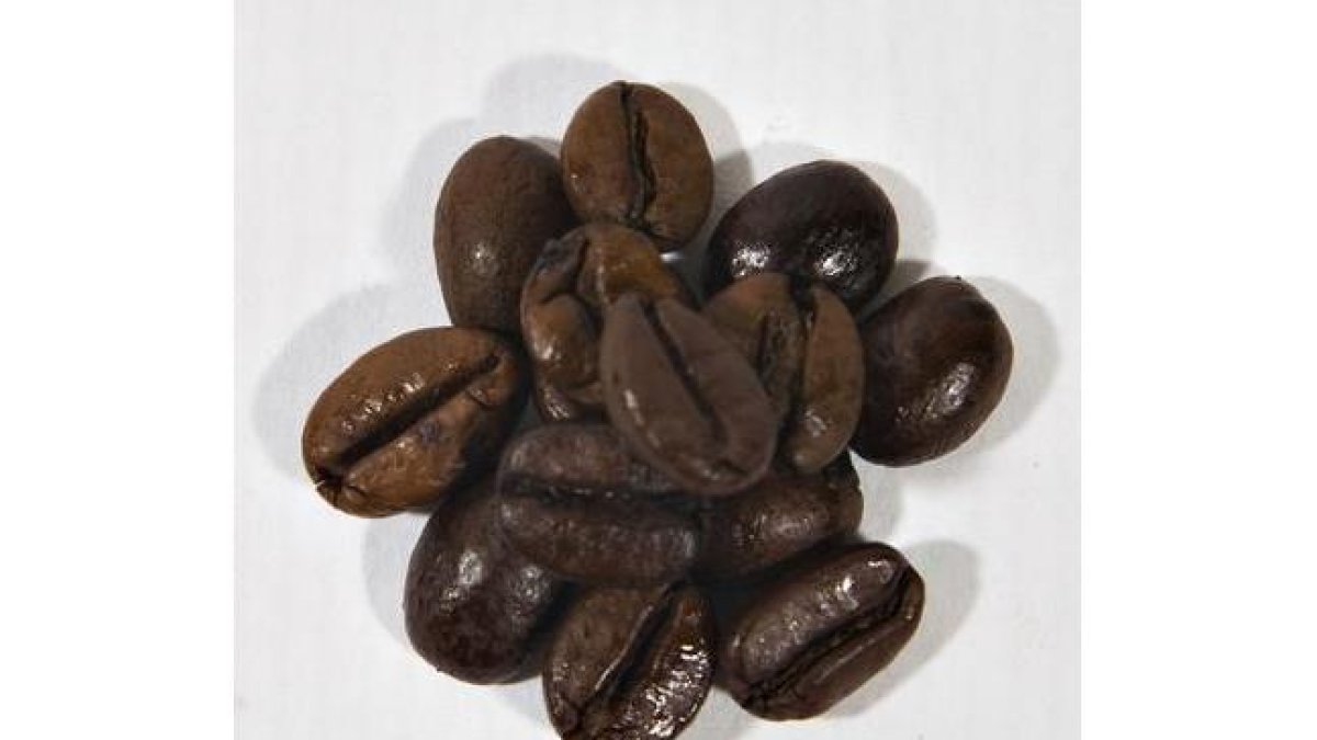Granos de café