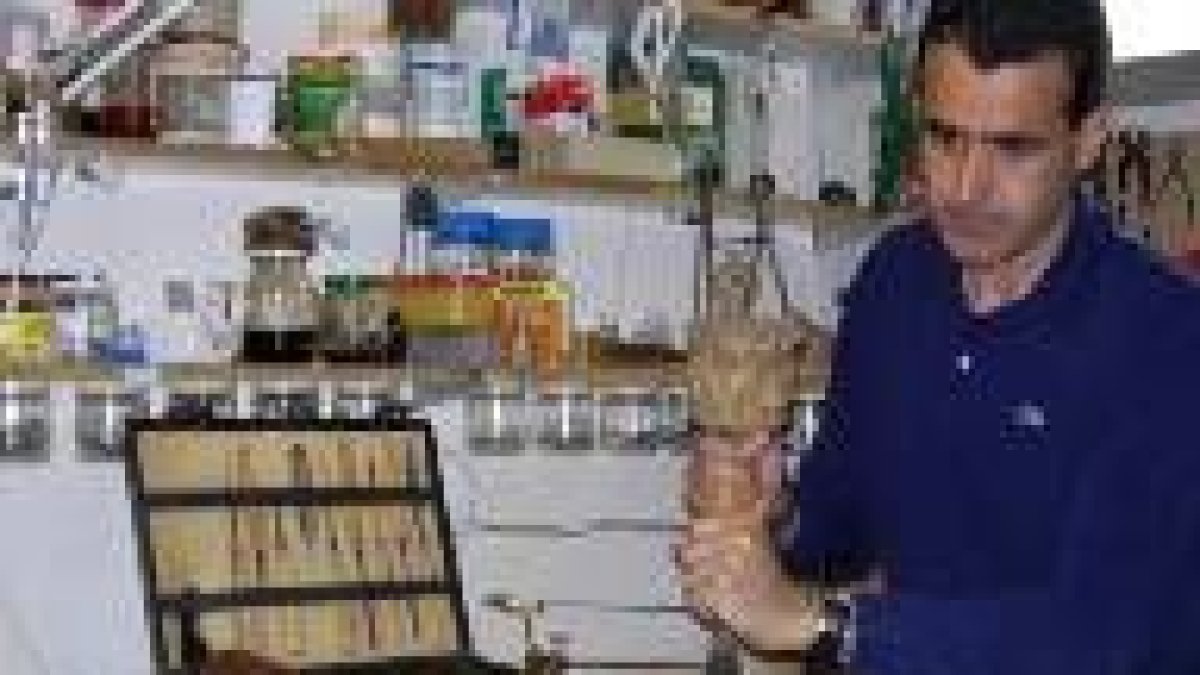 Miguel Ángel Rodríguez Pozuelo, trabajando en su taller