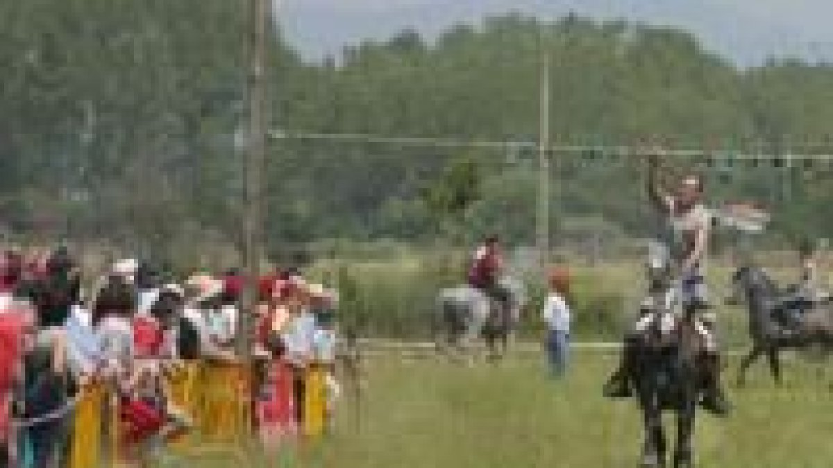 Los jinetes y amazonas se afanaron duramente por alcanzar el premio