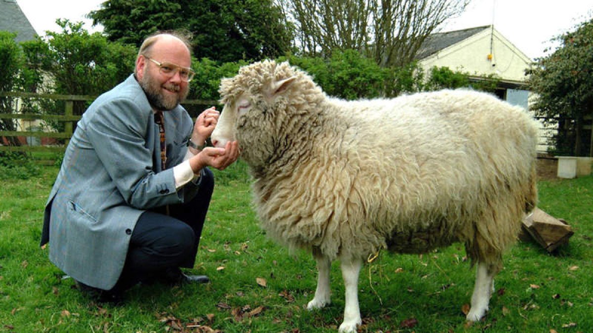 La oveja Dolly, de cuya clonación se cumplen veinte años, acariciada por su creador, el británico Ian Wilmut. REDACCIÓN
