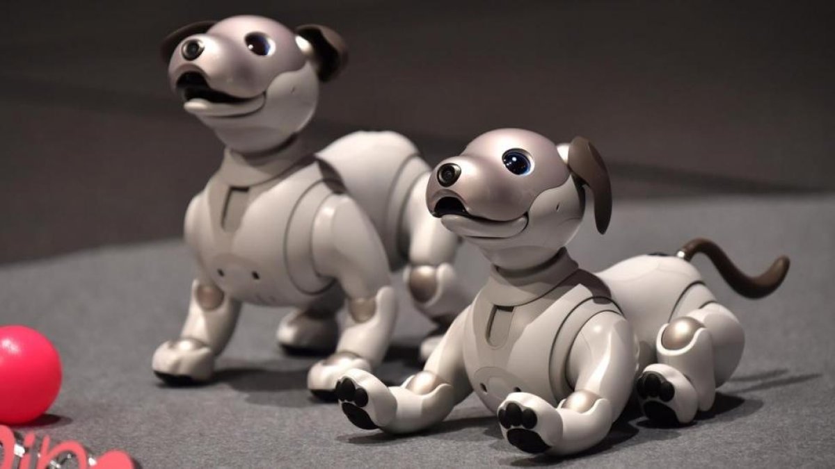 Robot canino desarrollado por la empresa japonesa Sony.