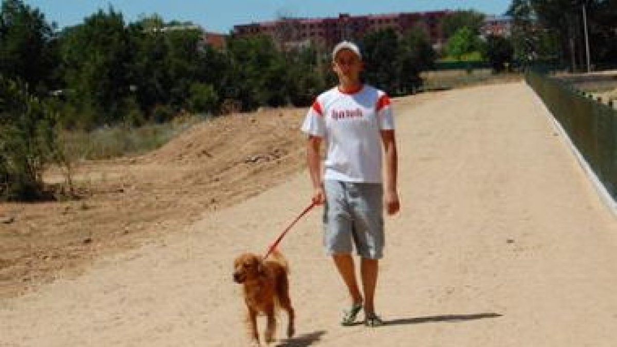 El Ayuntamiento de San Andrés conciencia a los dueños de los perros.