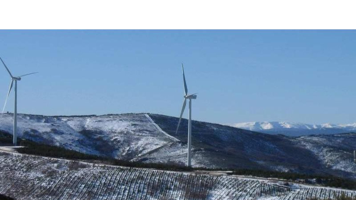 Las renovables eólicas generan en España el 24% de la energía del país. DL
