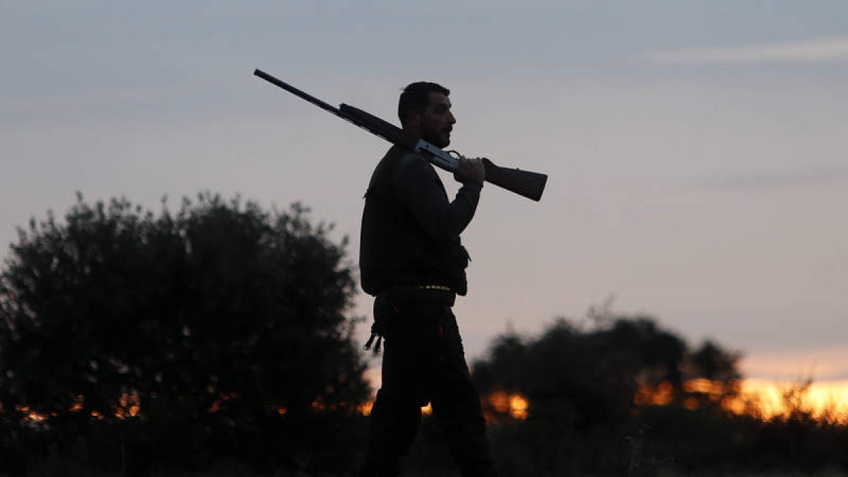 Un cazador en una jornada de actividad en la provincia. JESÚS F. SALVADORES