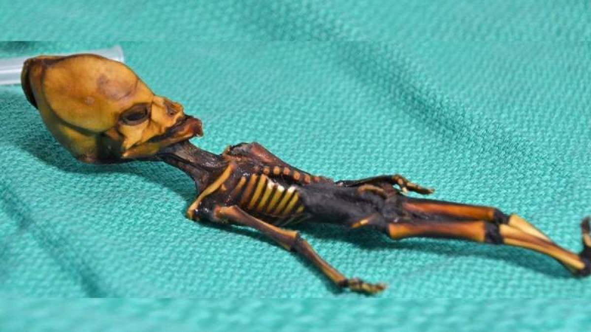 El esqueleto fue bautizado con el nombre de ‘Ata’ por su hallazgo en el desierto de Atacama (Chile). DL
