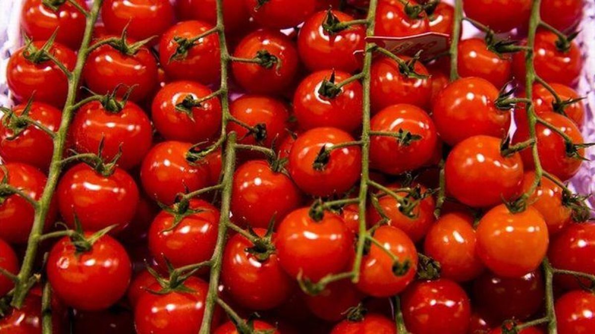 Tomates en un mercado de Barcelona.