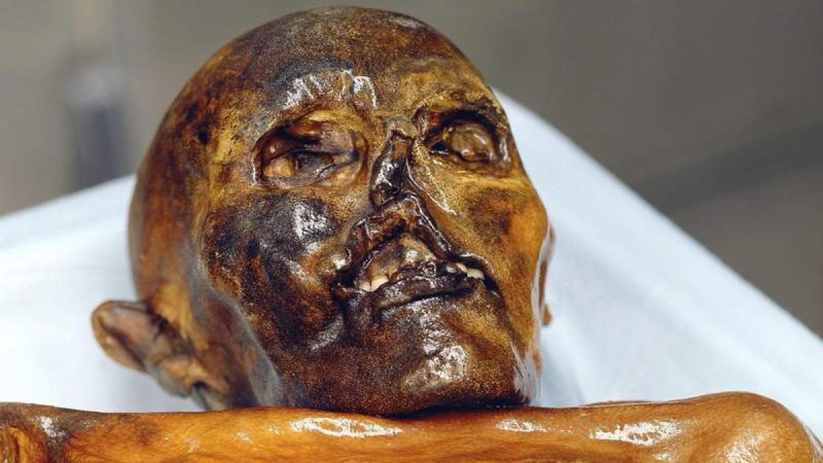 Cuando fue encontrada la momia del hombre del Neolítico, vestía unas calzas de piel de cabra y sombrero. EFE