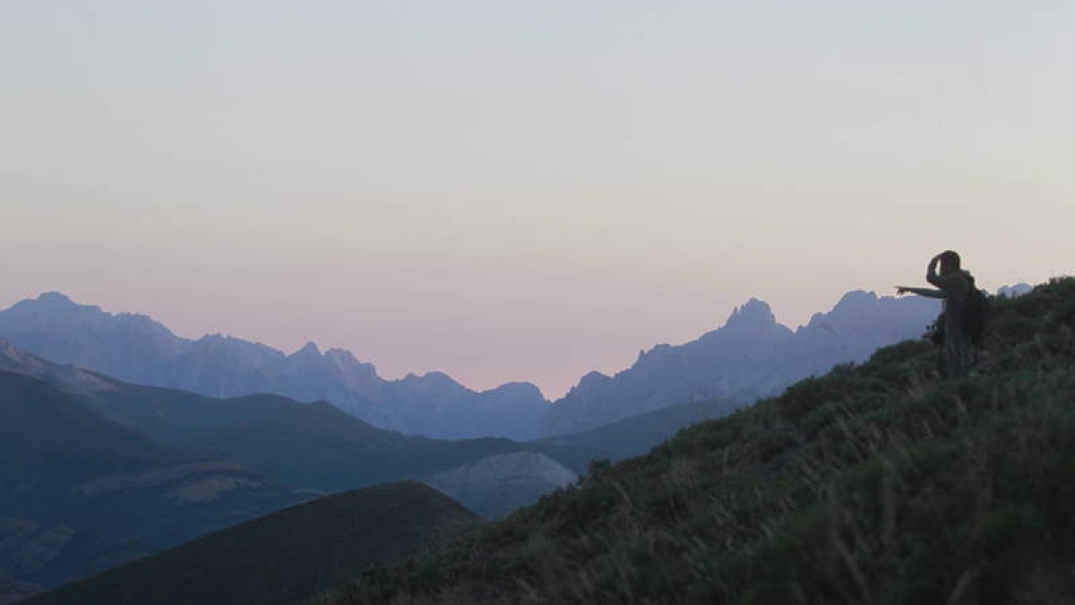 Los guías señalan desde la ladera contraria el lugar donde se encuentran los osos. Abajo, ejemplares avistados en Laciana y el Bierzo durante uno de los viajes de observación organizados por la empresa leonesa WildWatching Spain, que traen a León viajeros