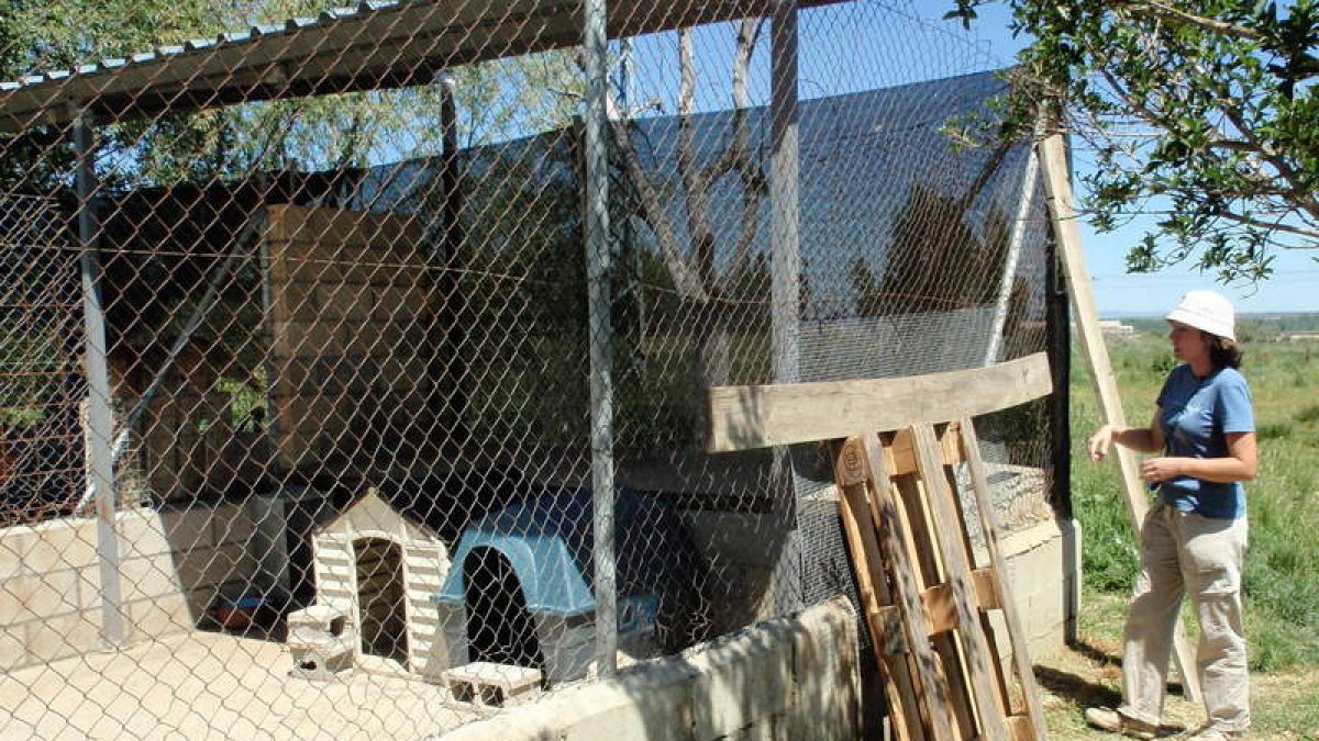 Los cacos abrieron un agujero en la valla, que las voluntarias cerraron con una malla y madera.