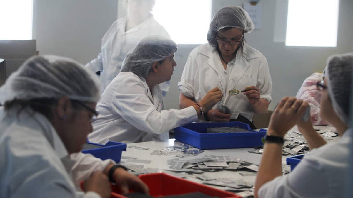 Mujeres con discapacidad en un centro de empleo de Asprona-León. RAMIRO