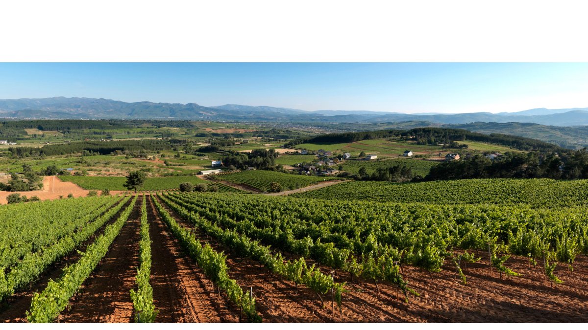 La Fundación Prada A Tope difunde una imágenes aéreas de una parte del Bierzo agrícola en un plan de defensa del territorio frente a la amenaza de algunos proyectos de energías renovables. FUNDACIÓN PRADA A TOPE