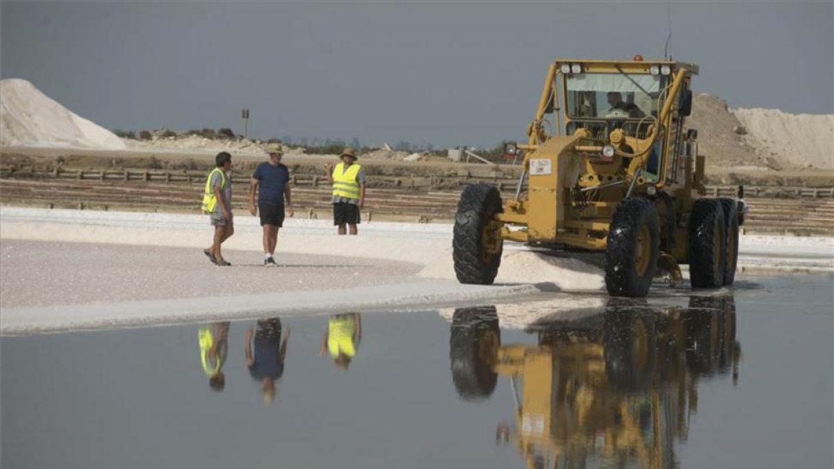 Primer dia de la campaña de recoleccion de sal en las Salinas de la Trinitat del delta del Ebro.