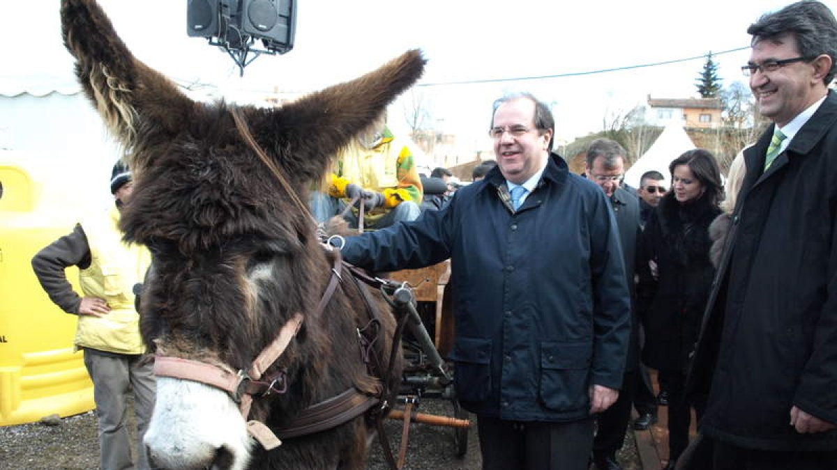 El presidente de la Junta, Juan Vicente Herrera, no dudó hace dos años en acercarse al burro Peregrino, muy popular en la feria.