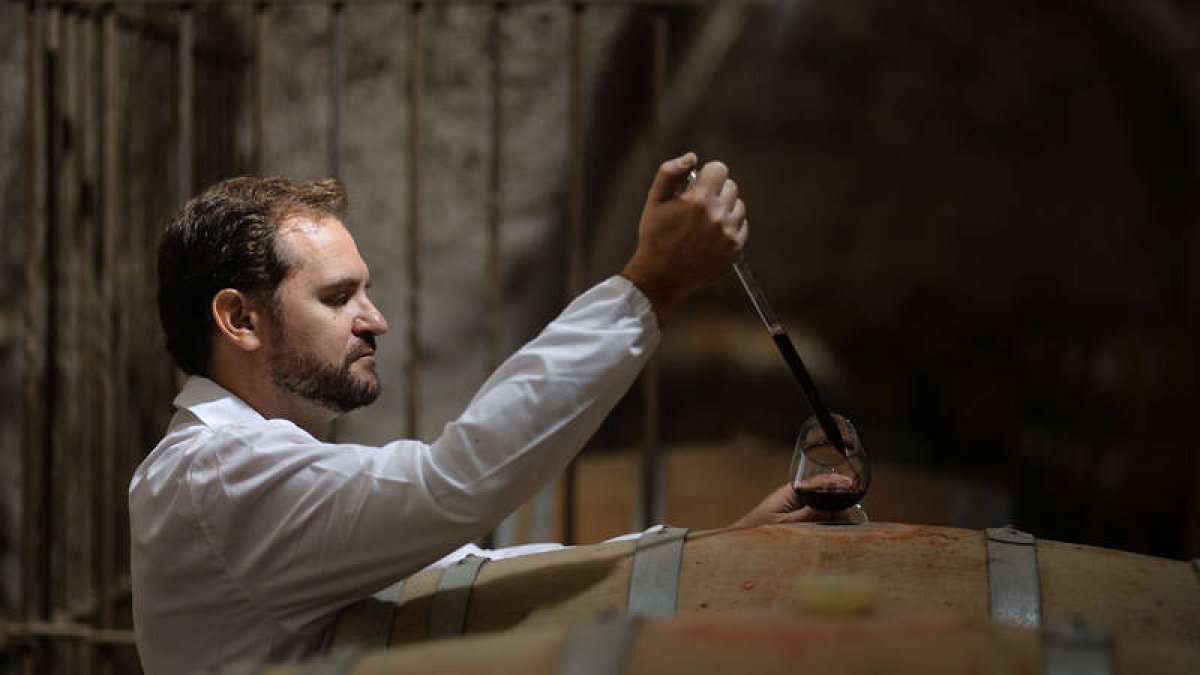 Alberto Martín, técnico de la Estación Enológica de Castilla y León, ubicada en Rueda, analiza la evolución de uno de los vinos. ITACYL