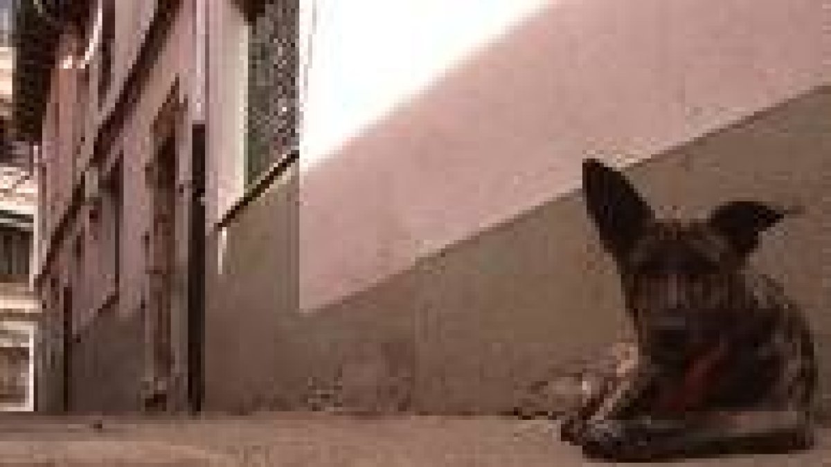 Exterior del Hogar del Traseúnte, que pasará a estar dentro de la red estatal