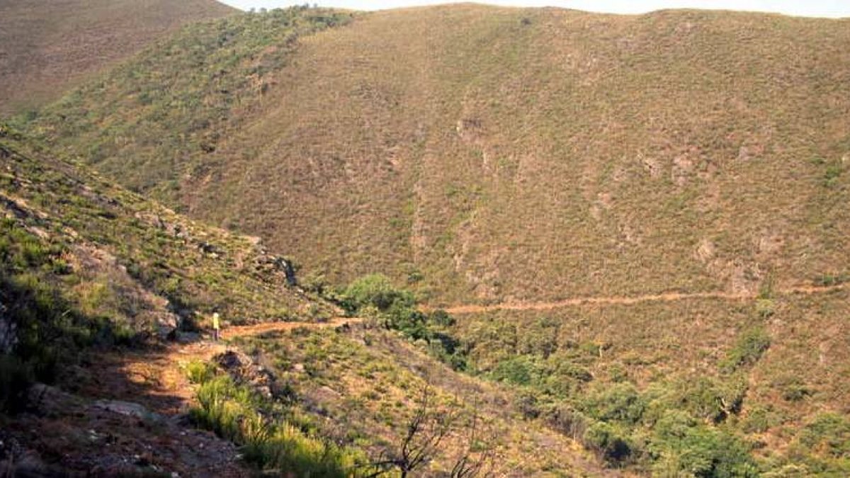 En la imagen, parte del trazado de los canales romanos en montes del término de Benuza, cerca de Pombriego, donde ya se desbrozó.