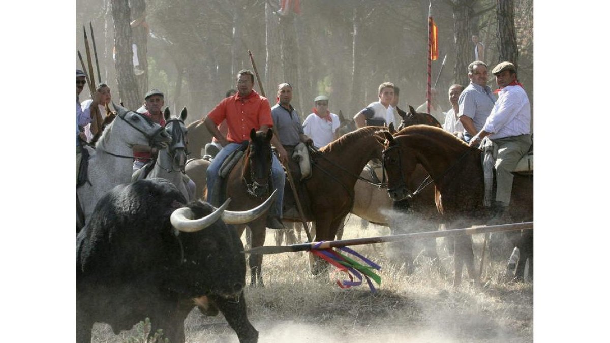 Un momento del torneo del Toro de la Vega. RICARDO SUÁREZ