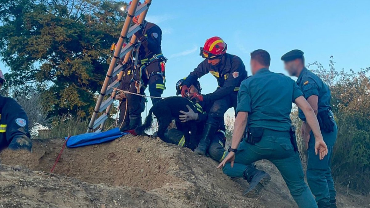 Rescate del perro Rony en la Virgen del Camino. BOMBEROS DE LEÓN.