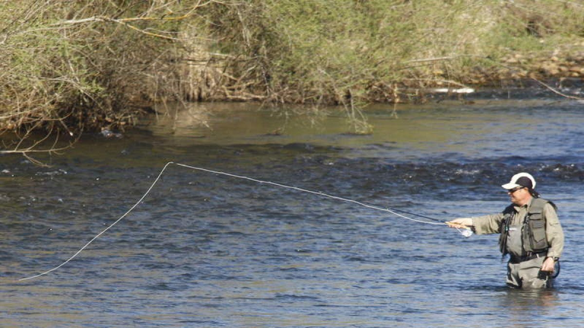 Un pescador en uno de los ríos de la provincia de León.
