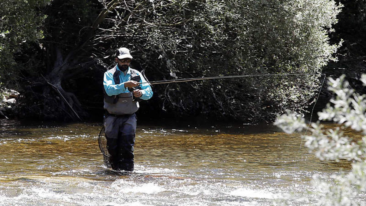 Un pescador en plena faena. La provincia de León cuenta con más de 3.000 kilómetros de ríos. MARCIANO PÉREZ