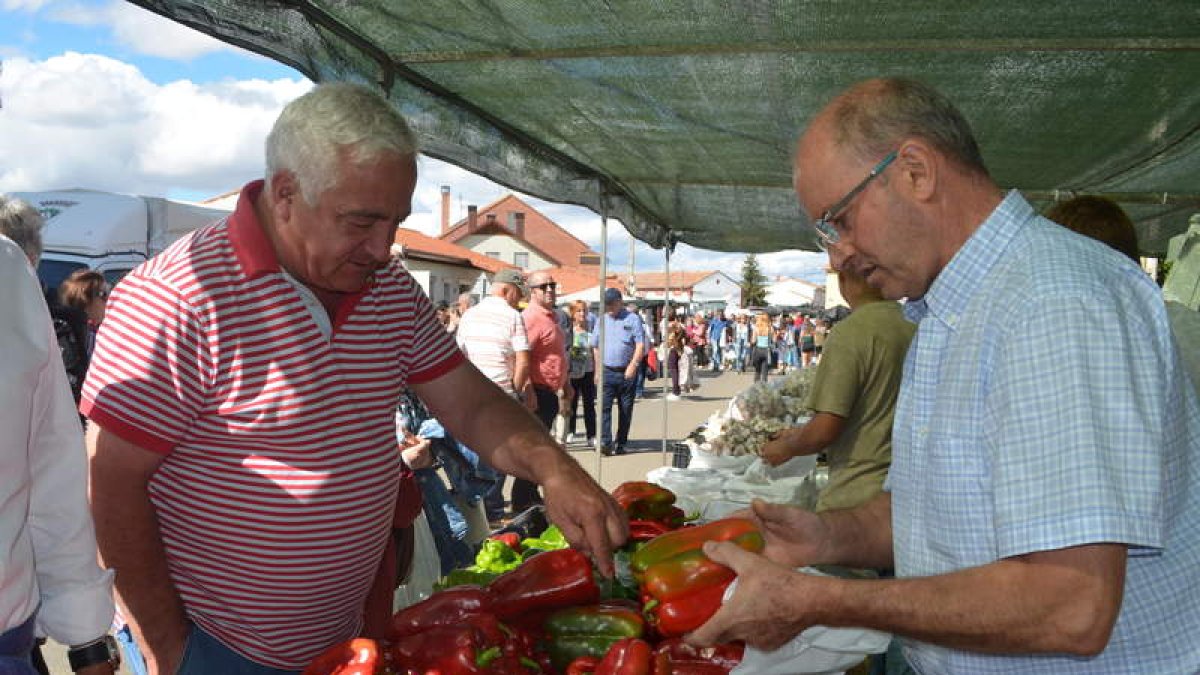 Imagen de un puesto de pimientos. MEDINA