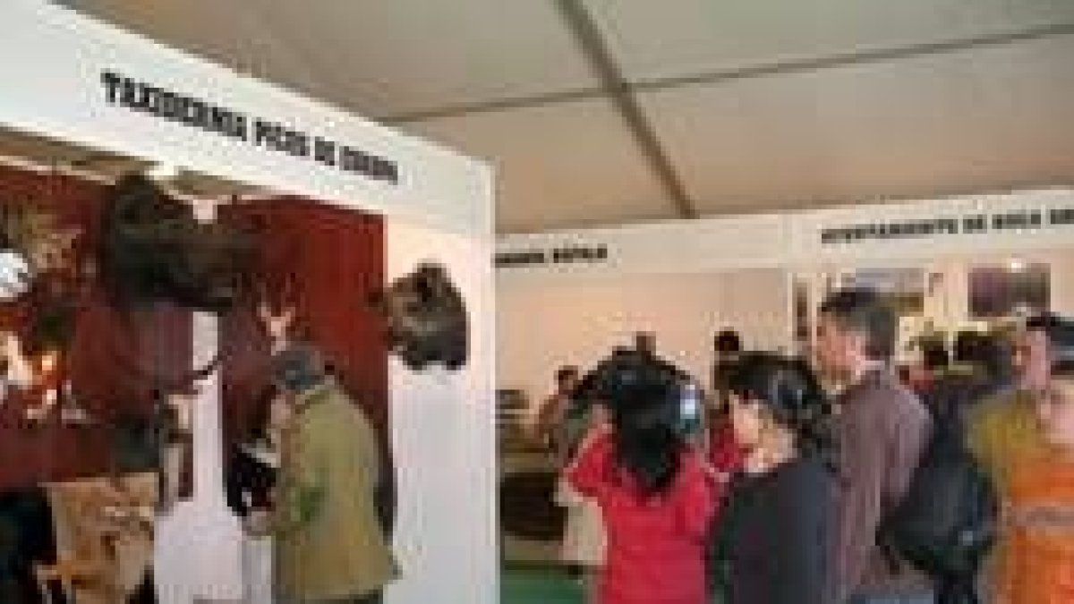 La feria Reinatur tuvo una gran acogida el año pasado