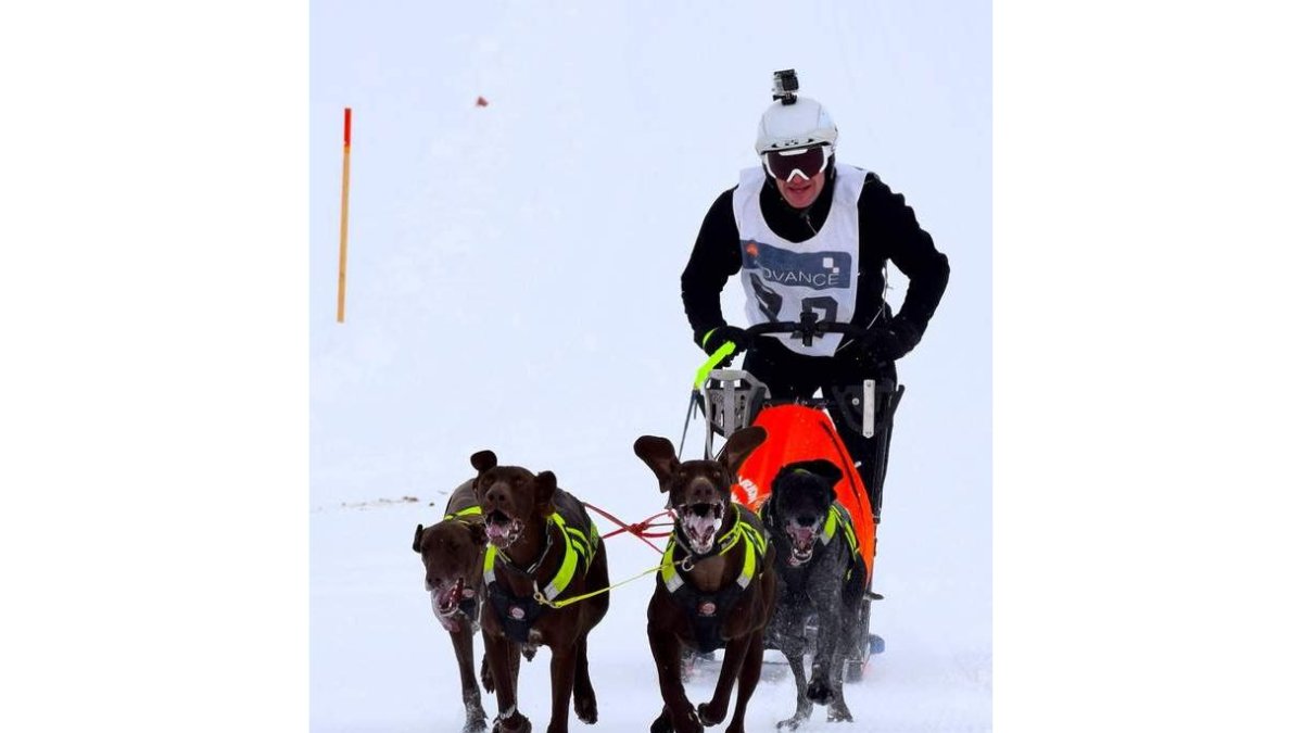 Del Canto con sus perros ‘greysther’ un cruce entre el pointer alemán y el galgo americano. DL