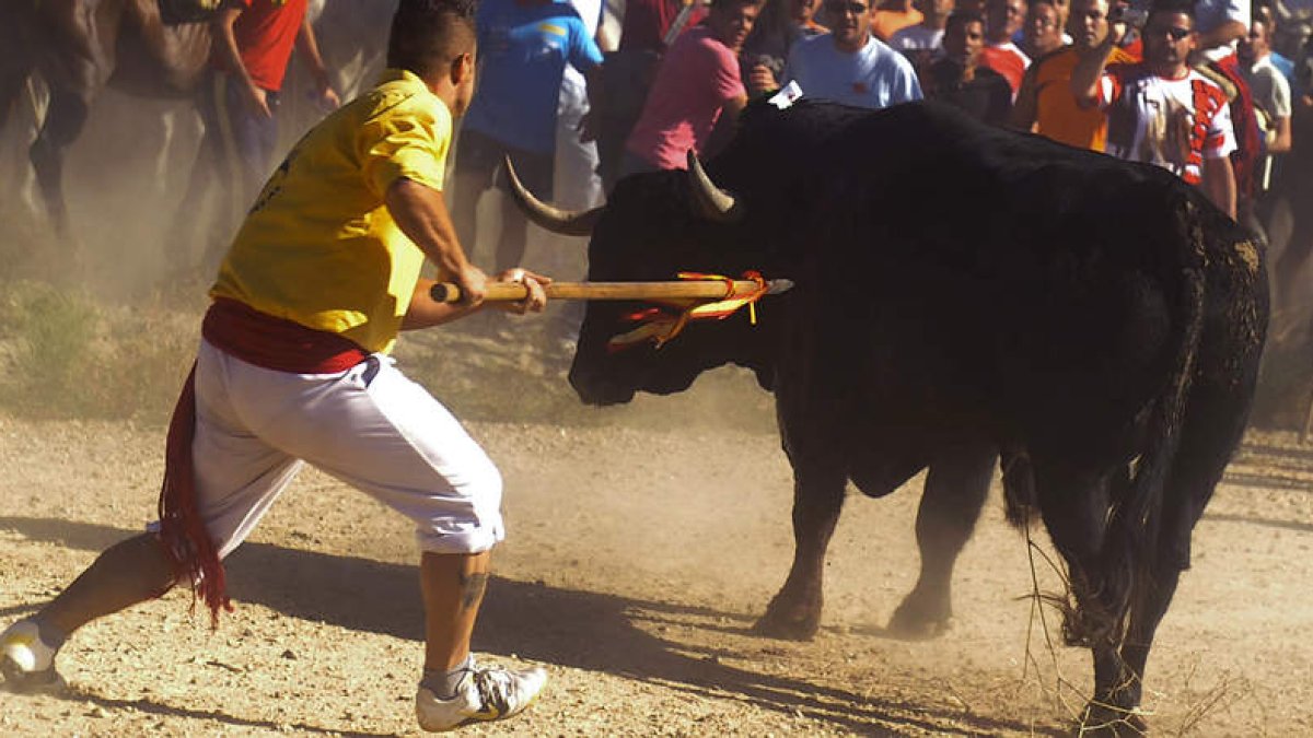 Momento en el que un mozo de Tordesillas (Valladolid) acaba con la vida del toro de una única lanzada.